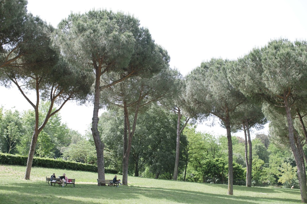 We loved these pine trees and the way the Romans enjoyed lazy afternoons (with their dogs!) in the Borghese Gardens. They reminded me of Truffula Trees from Dr. Seuss' The Lorax!